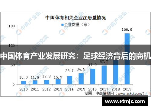 中国体育产业发展研究：足球经济背后的商机